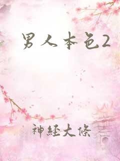 男人本色2