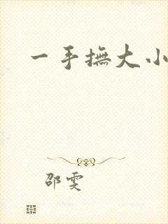 一手抚大小说