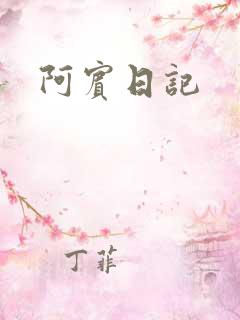 阿宾日记
