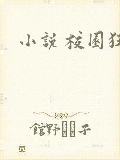 小说 校园狂少