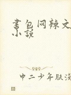 书包网辣文全本小说