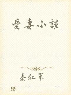 爱妻小说