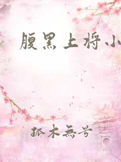 腹黑上将小小妻