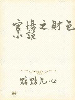 官场之财色诱人小说