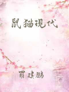 鼠猫现代