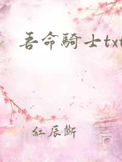 吾命骑士txt