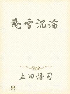 飞雪沉沦