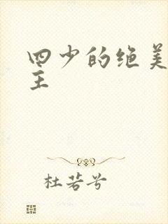 四少的绝美宠公主