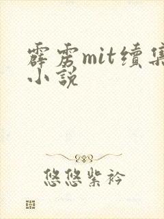 霹雳mit续集小说