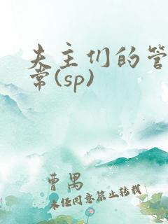 夫主们的管教日常(sp)