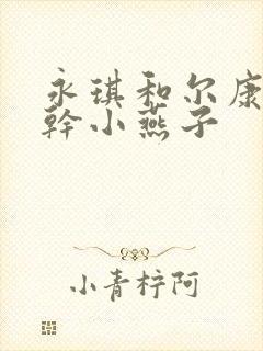 永琪和尔康一起干小燕子