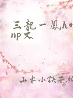 三龙一凤h啪肉np文