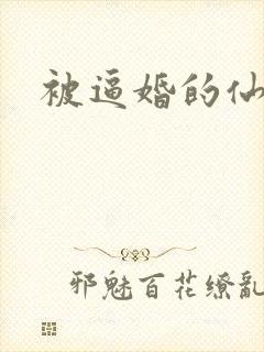 被逼婚的仙二代