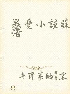 愚爱小说苏倩孙浩