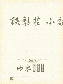 铁梨花 小说
