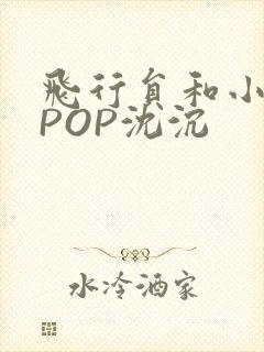 飞行员和小空乘POP沈沉