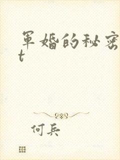 军婚的秘密txt