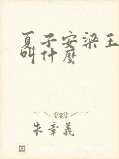 夏子安梁王书名叫什么