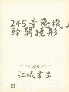 245章飞机上干关晓彤