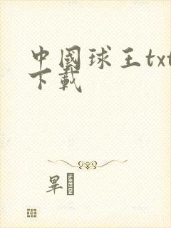 中国球王txt下载
