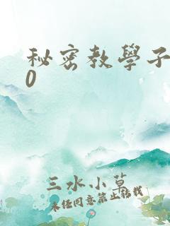 秘密教学子豪40