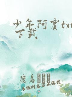 少年阿宾txt 下载