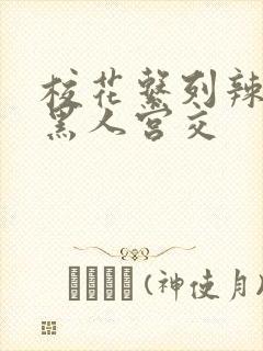 校花系列辣h文黑人宫交