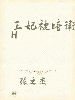 王妃被暗卫肉高H