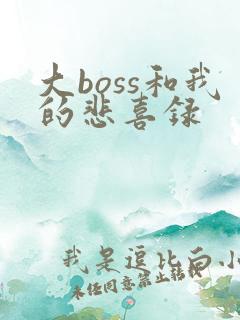 大boss和我的悲喜录