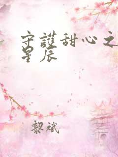 守护甜心之暗夜星辰