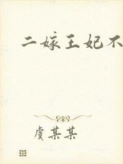 二嫁王妃不好惹