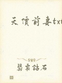 天价前妻txt