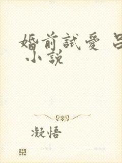 婚前试爱 吕颜 小说
