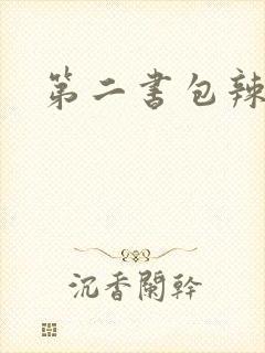 第二书包辣文