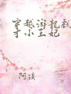 穿越游龙戏凤天才小王妃