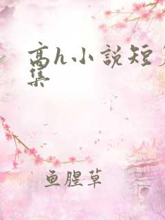 高h小说短篇合集
