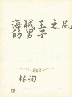 海贼王之风一样的男子