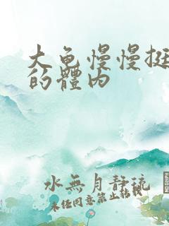 大龟慢慢挺进我的体内