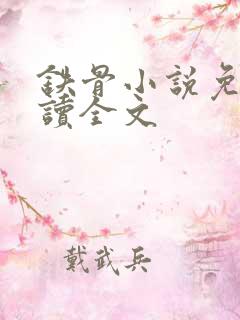 铁骨小说免费阅读全文