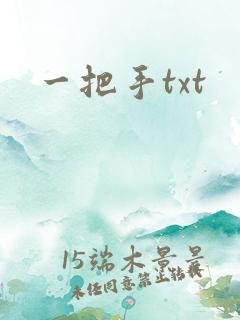 一把手txt