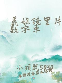 义姐镜里片微博数字车