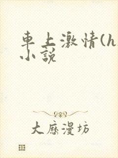 车上激情(h)小说