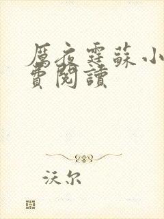 厉夜霆苏小汐免费阅读