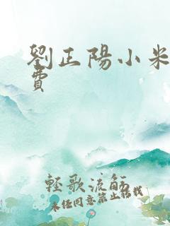 刘正阳小米多免费