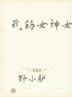 我的女神女奴