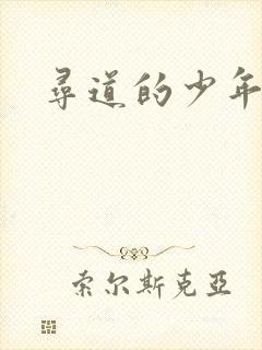寻道的少年