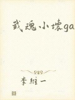武魂小坏ga