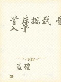 首席总裁 爱你入骨