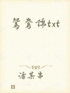 鸳鸯锦txt