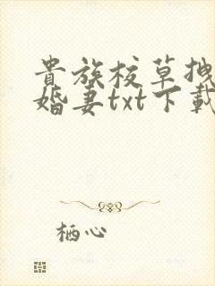 贵族校草拽拽未婚妻txt下载